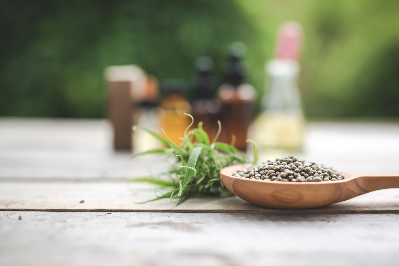 Grow Shop en La Palma