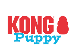 kong puppy
