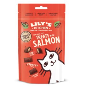 lily's kitchen snacks con salmon